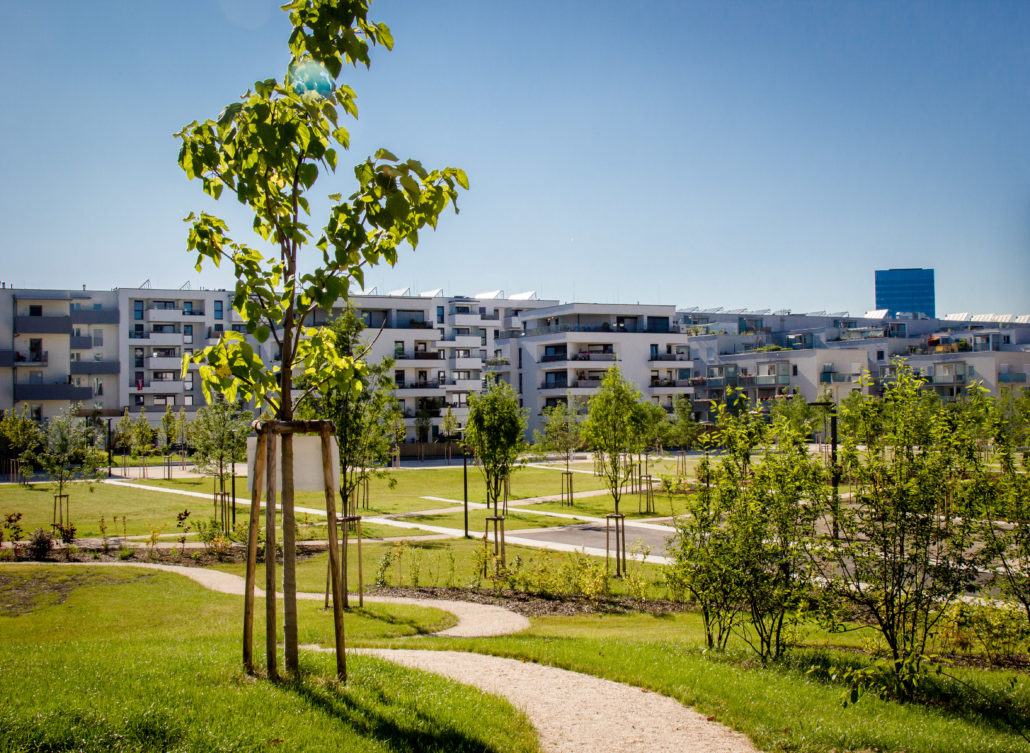 Grüne Mitte Linz - Špeciálne kompetencie