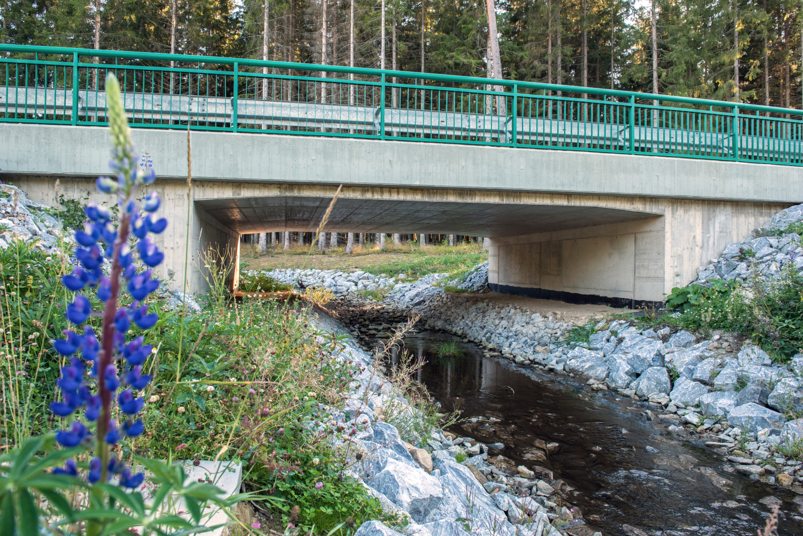 Zadní Zvonková – modernizace přístupu k hraničnímu přechodu CZ/AT - Výstavba ciest a mostov