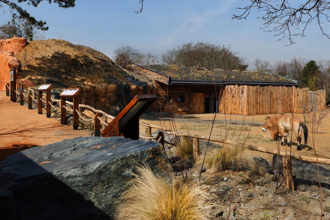 Zoo Praha – výběhy a stáje koní Převalského, pavilon drobných savců a plazů, voliéry manula - Pozemné stavby