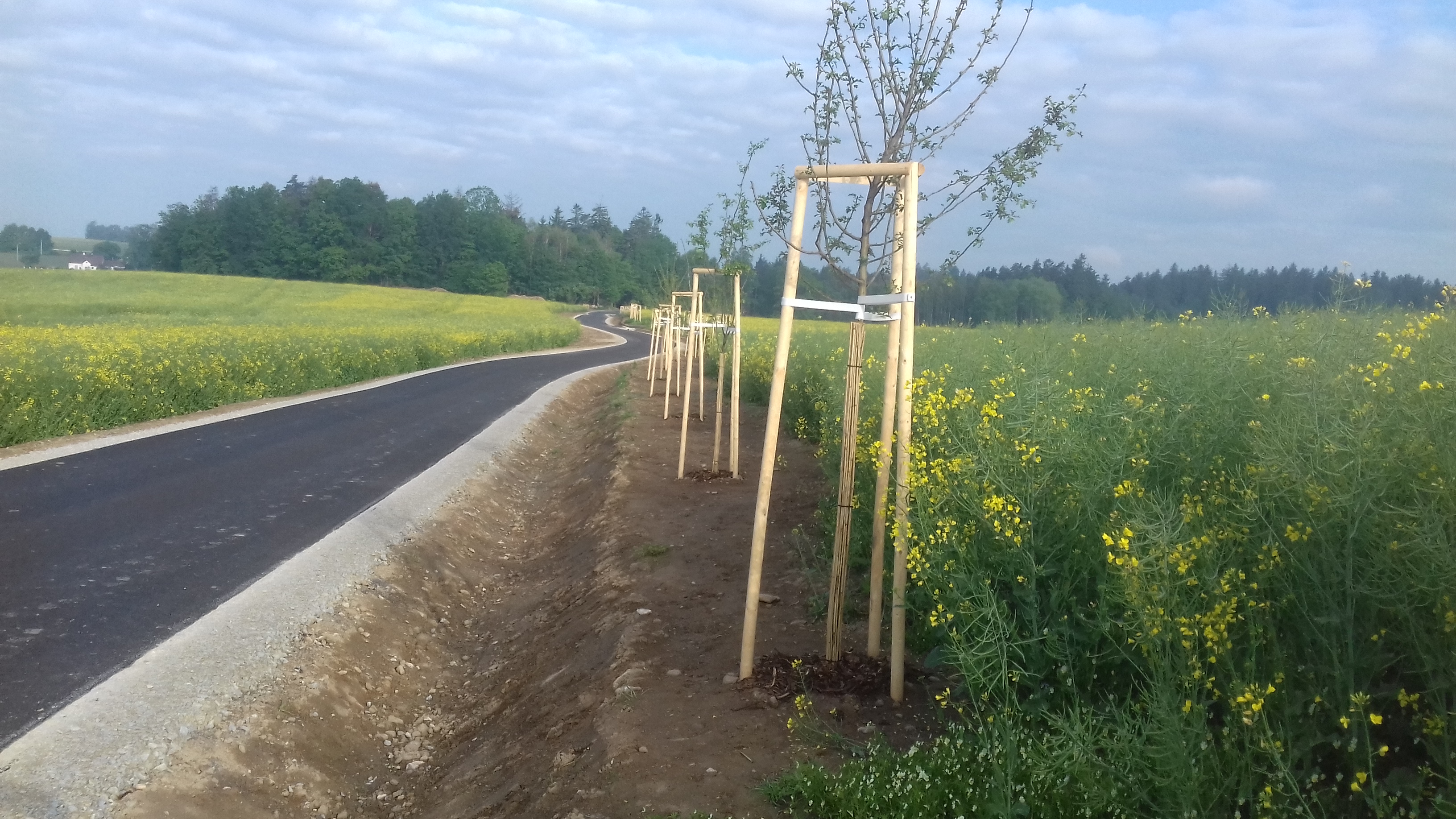 Cyklostezka – propojení katastrálních území Matná–Buk         - Výstavba ciest a mostov